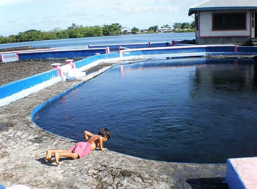 File:Child leaning down to take a drink of water at the Mata o le Alelo  fresh water pool, Matavai village, Savai'i, Samoa 2009.JPG - Wikimedia  Commons
