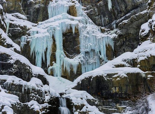 cotton field Snow Hill, Alabama.USDA | Free Photo - rawpixel
