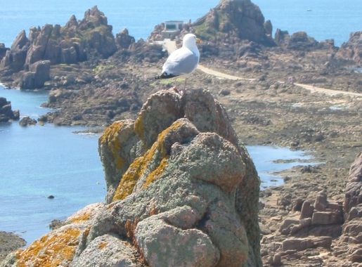 File:La Corbière lighthouse, Jersey, low tide.jpg - Wikimedia Commons