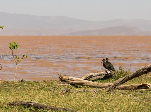 File:Lake Langano in Oromia Ethiopia 03.jpg - Wikimedia Commons