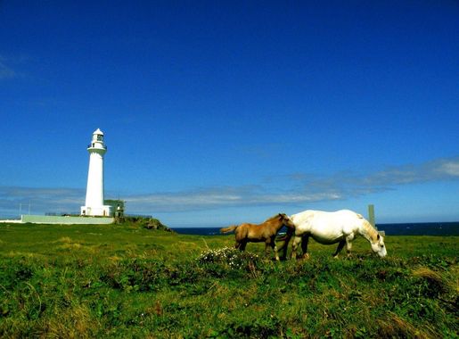 File:Cape Shiriya and Kandachime horses.jpg - Wikipedia