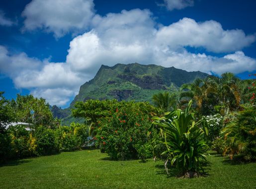 Free Images : landscape, tree, nature, forest, outdoor, mountain, cloud,  sky, lawn, meadow, hill, flower, view, valley, vacation, travel, green,  jungle, paradise, tropical, island, blue, garden, tourism, sunny, clouds,  tropic, mountains, vegetation,