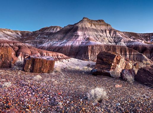File:Jasper Forest- Petrified Forest National Park (14736525130).jpg -  Wikimedia Commons