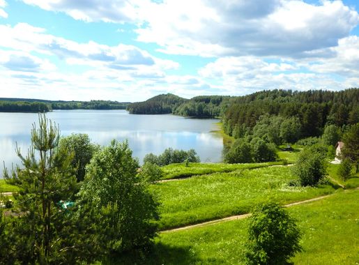 File:Nature of the Arkhangelsk region.jpg - Wikimedia Commons