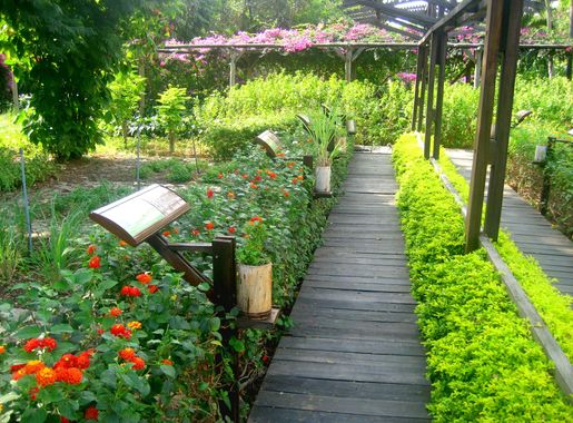 File:Parque Histórico Guayaquil - Vivero.JPG - Wikimedia Commons