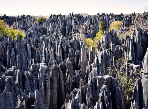 File:Big Tsingy, Madagascar (24082669822).jpg - Wikimedia Commons