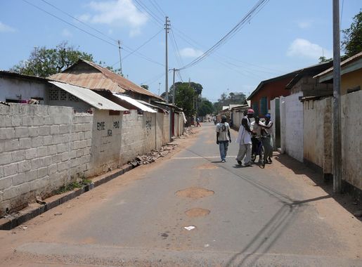Bakau – Wikipédia