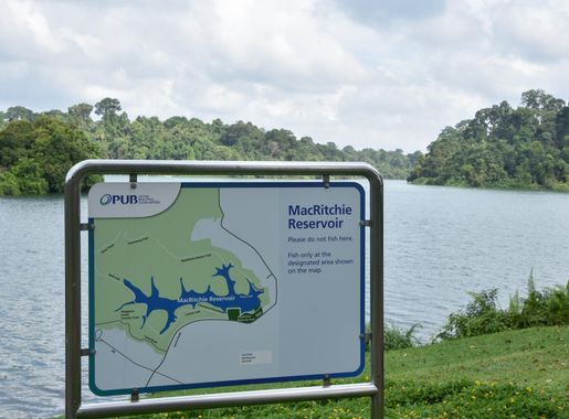 File:Info Board MacRitchie Reservoir Singapore Feb23 D72 25337.jpg -  Wikipedia