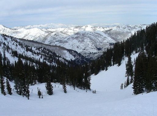 File:Solitude Mountain Resort Honeycomb Canyon.JPG - Wikimedia Commons