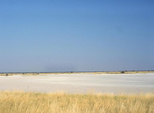 File:Botswana Nxai Pan NP Salzpfanne.jpg - Wikimedia Commons
