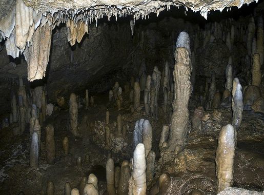 File:Harrisons Cave (6975342587).jpg - Wikimedia Commons