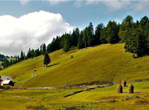 File:Apuseni Mountains 2016.JPG - Wikipedia