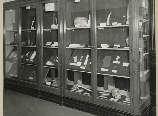 File:Superstitions in Medicine Exhibit (Reeve 68413) National Museum of  Health and Medicine (5617156912).jpg - Wikimedia Commons