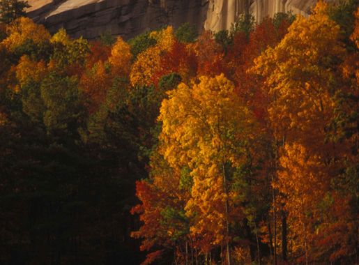 File:Scenic view of lake in fall with autumn foliage reflected in lake at  stone mountain.jpg - Wikimedia Commons