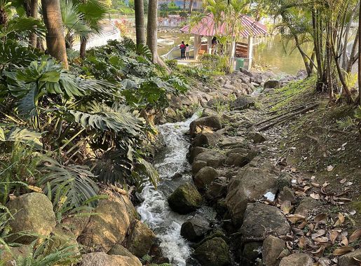 File:Yuen Long Park creek 2023.jpg - Wikimedia Commons