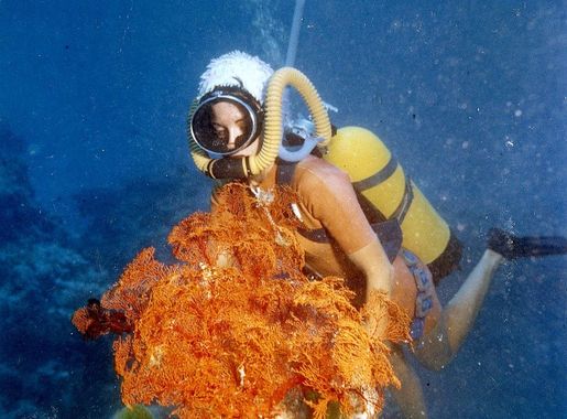 File:Scuba diving, Great Barrier Reef, 1980s.jpg - Wikimedia Commons