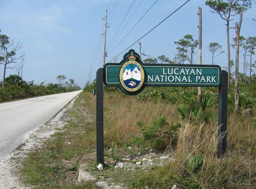 File:Jrb 20070302 lucayan national park bahamas.JPG - Wikimedia Commons