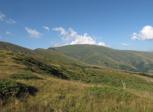 File:Midžor Stara planina.jpg - Wikimedia Commons
