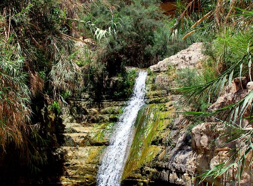File:2010-06-18 09-24-49 Israel Ejn Gedi JH (52783211066).jpg - Wikimedia  Commons