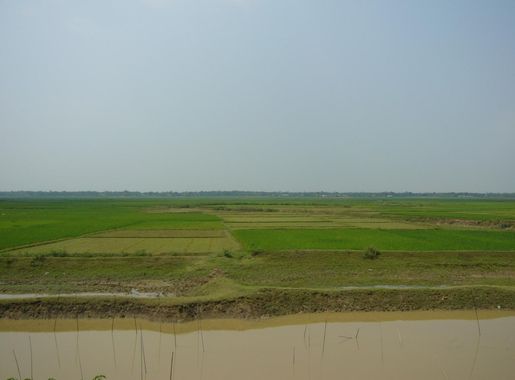 চিত্র:Hakaluki Hawor in Dry Season Sylhet Bangladesh.JPG - উইকিপিডিয়া