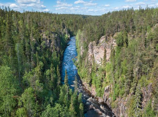 File:Oulanka Canyon in Oulanka National Park, Salla, Lapland, Finland, 2021  June.jpg - Wikimedia Commons