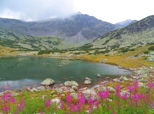 File:Rila mountain. Down Musala Lake..JPG - Wikimedia Commons
