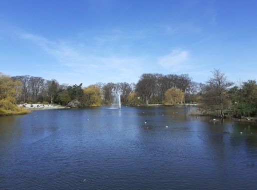Fil:Søen i Fælledparken 02.jpg - Wikipedia, den frie encyklopædi