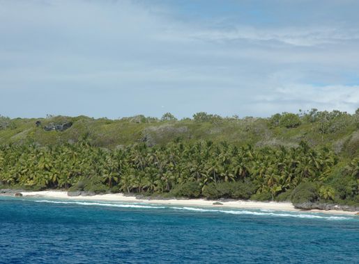 File:Henderson Island-110244.jpg - Wikimedia Commons