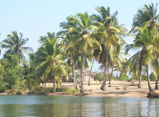 File:Ada Volta River.JPG - Wikimedia Commons