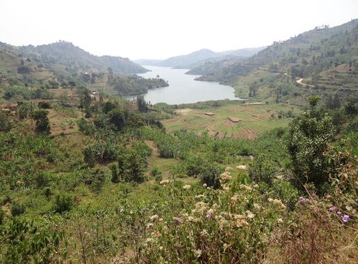 File:Scenery in Hills above Lake Kivu - Near Karongi-Kibuye - Western Rwanda  - 02.jpg - Wikimedia Commons