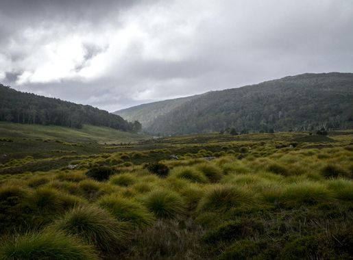 File:Landscape at the foot of Mount Cradle. Cradle Mountain-Lake St Clair  National Park, Tasmania.jpg - Wikimedia Commons