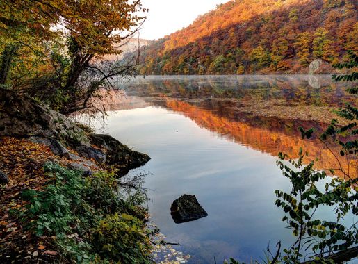 Soubor:Národní park Podyjí Dyje Nationalpark Thayatal 2013 10 a.jpg –  Wikipedie