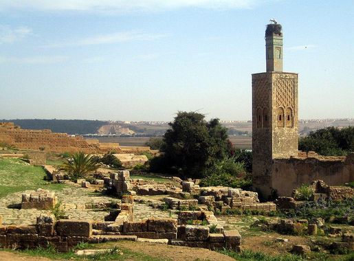 File:Ruins of Chellah & 14th century minaret (15561693200).jpg - Wikimedia  Commons