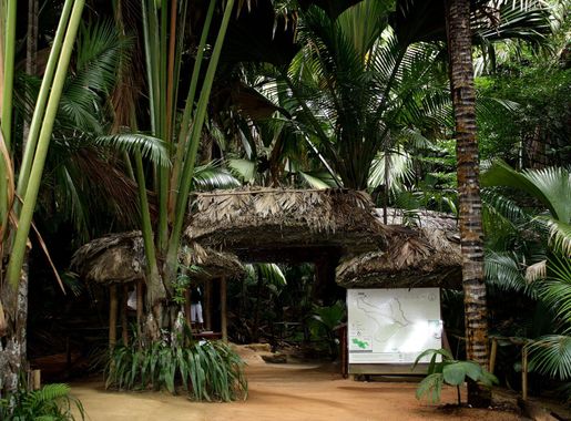File:Vallée de Mai Entrance.JPG - Wikimedia Commons