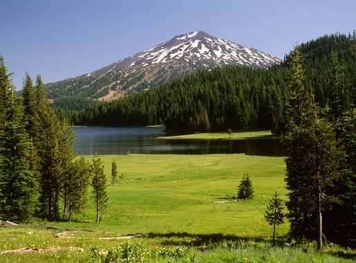 File:TODD LAKE MEADOW, Deschutes National Forest (23788352862).jpg -  Wikimedia Commons