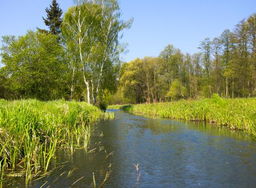 File:Biosphere reserve Spreewald, Brandenburg.jpg - Wikimedia Commons