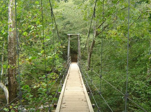 File:Eno Park Footbridge.jpg - Wikimedia Commons