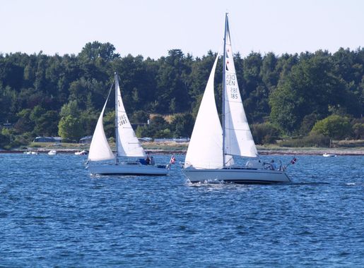File:Danish sailboats.jpg - Wikimedia Commons