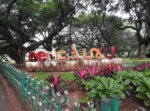 File:Cubbon park-1-bangalore-India.jpg - Wikimedia Commons
