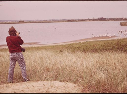 File:BIRD-WATCHING AT THE JAMAICA BAY WILDLIFE REFUGE - NARA - 547849.jpg -  Wikimedia Commons