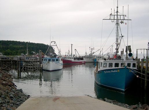 File:Bay of Fundy - Tide In.jpg - Wikimedia Commons
