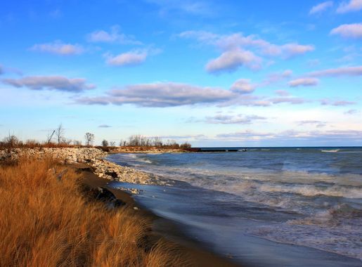 File:Gfp-illinois-beach-state-park-shoreline-of-lake-michigan.jpg -  Wikimedia Commons