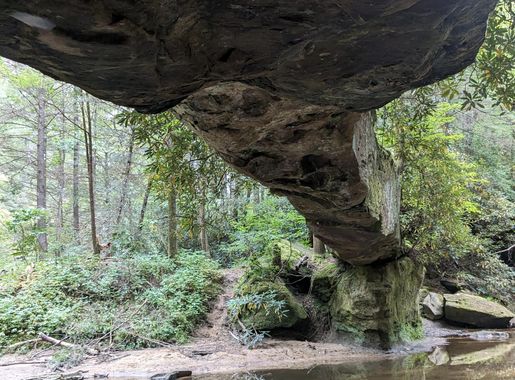 File:Rock Bridge Underside, Red River Gorge, Kentucky, USA.jpg - Wikimedia  Commons