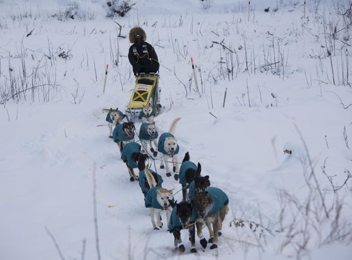Jamaica Dogsled Team - Wikipedia