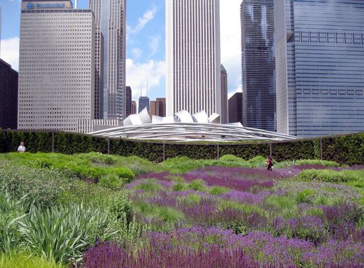 File:Lurie Garden in sun.jpg - Wikipedia