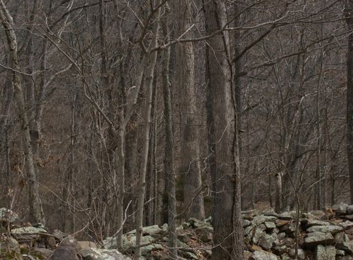 File:Stone Fort Wall.jpg - Wikimedia Commons