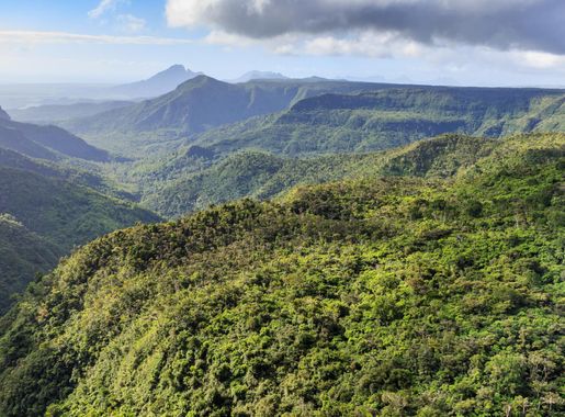 Datei:Mauritius Black-River-Gorges-National-Park-01.jpg – Wikipedia