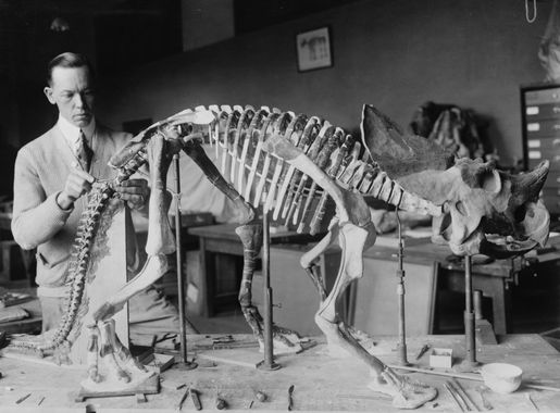 History of paleontology in the United States - Wikipedia