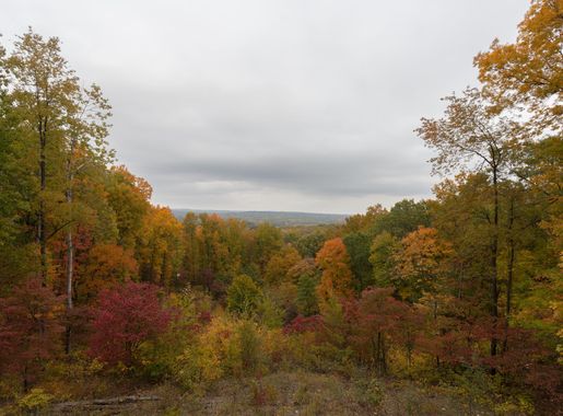 File:Vista desde la torre de observación, Parque Estatal Brown County,  Indiana, Estados Unidos, 2012-10-14, DD 03.jpg - Wikimedia Commons