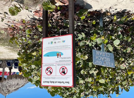File:Baby beach sign, Aruba Jul 02, 2021 01-52-39 PM.jpeg - Wikipedia, e  ensiklopedia liber